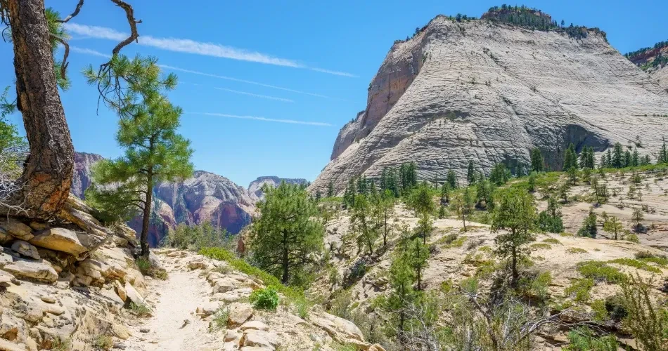South Lake Tahoe Travel Guide: Must-See Spots for Nature & City Lovers
